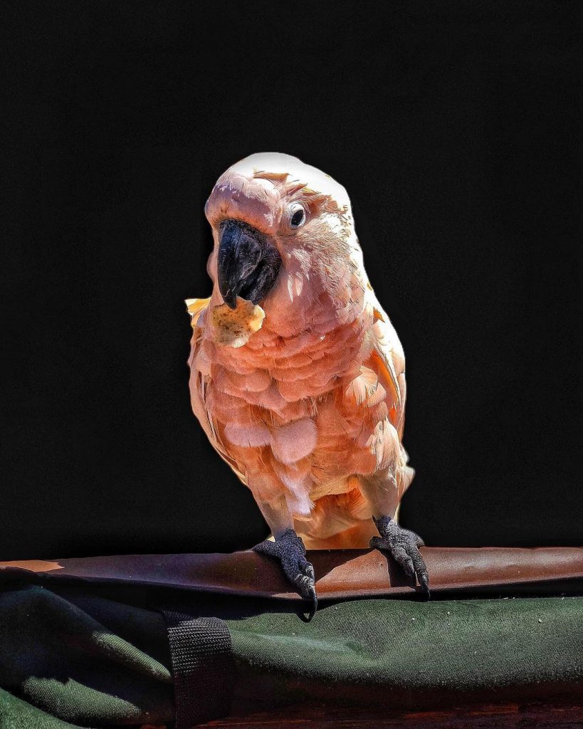 Happy Independence Day Indonesia ????????!! • #indonesia #Traveling  #Travelers #Traveler  #Explore  #Exploring  #Explorer #Travelier &hellip;