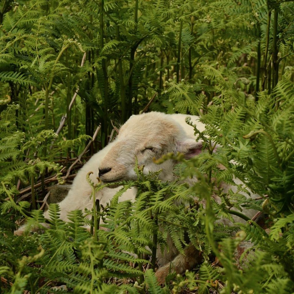 As I walked down from the summit of Snowdon with my friends, I spotted&hellip;