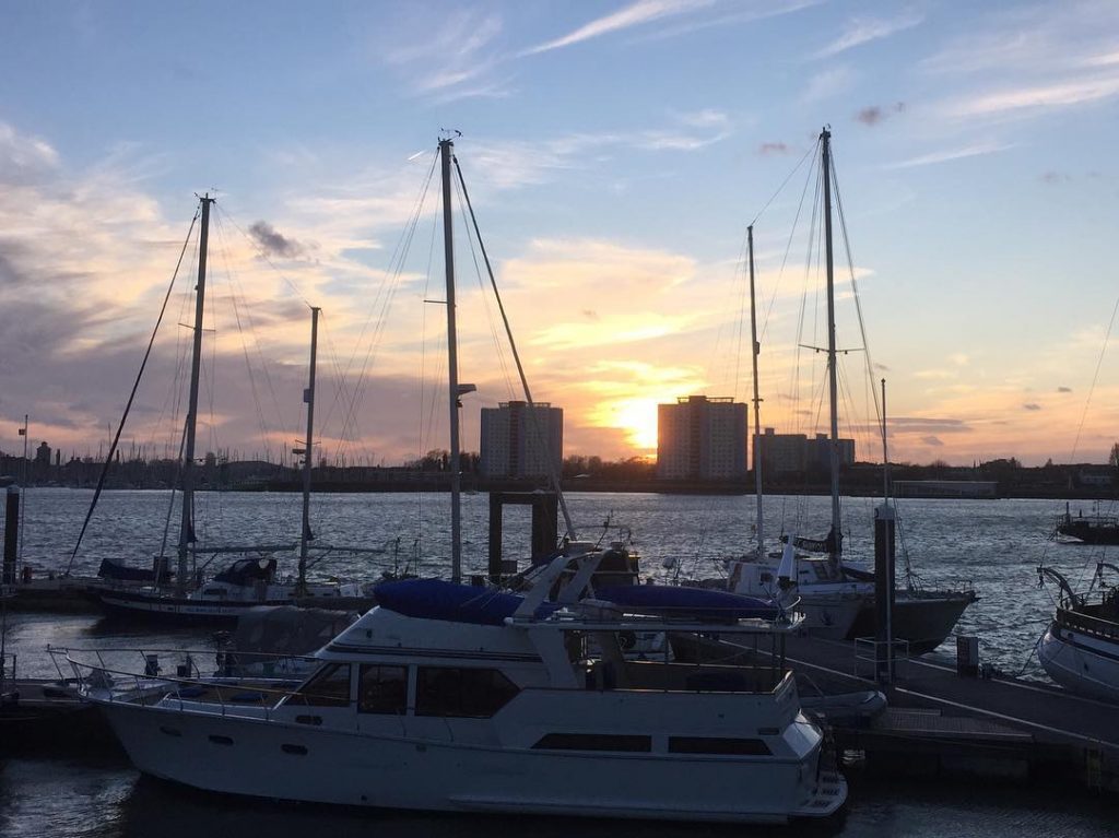 Why am I thinking so much of Pompey today? I think I miss my&hellip;