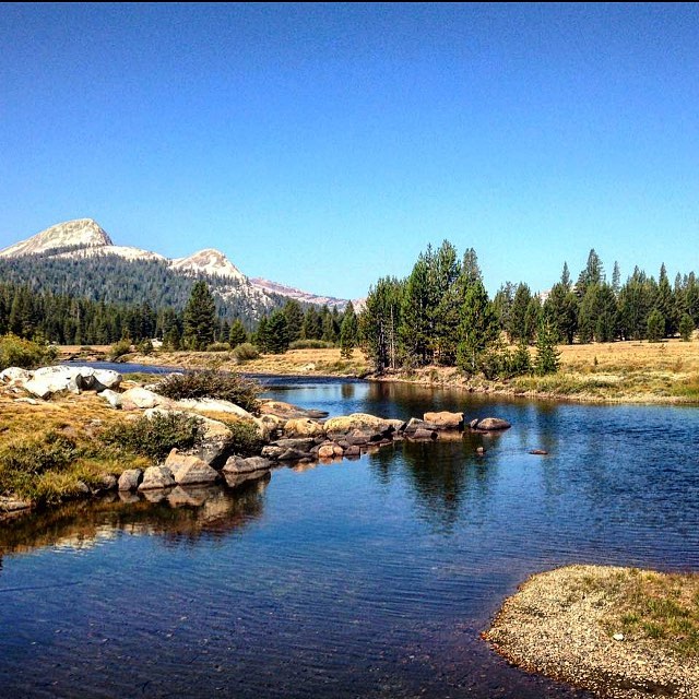 #usa #california #yosemite #nationalpark #getblogger #earthfocus #repost #travel #travelblogger #travelling #travelguide #travelholic #travelphotography #bnesimppl