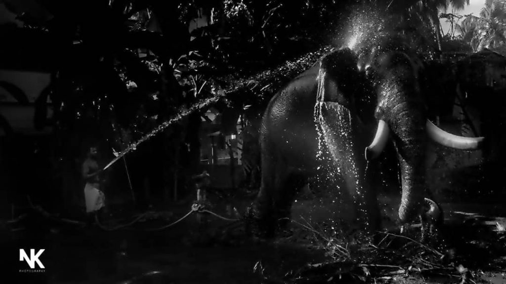 #travelgram #natgeotravel #natgeoyourshot #thephotosociety #travelphotography #clickstogallery #travelblogger #naturesapparel #travelrealindia #keralaframes #soulofkerala #natgeoindia #natgeoindiatraveller #soaf&hellip;