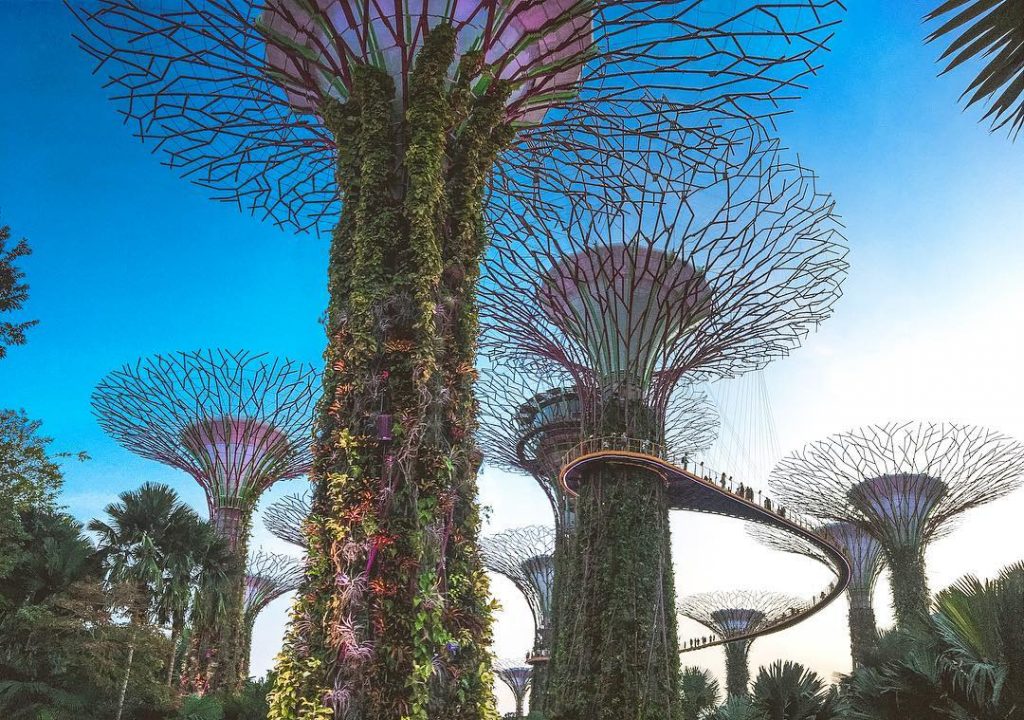 Gardens by the Bay #Singapore #GardensByTheBay #LifeWellTravelled #Travellers #TypicalTourist #TravelAsia #bnesimppl