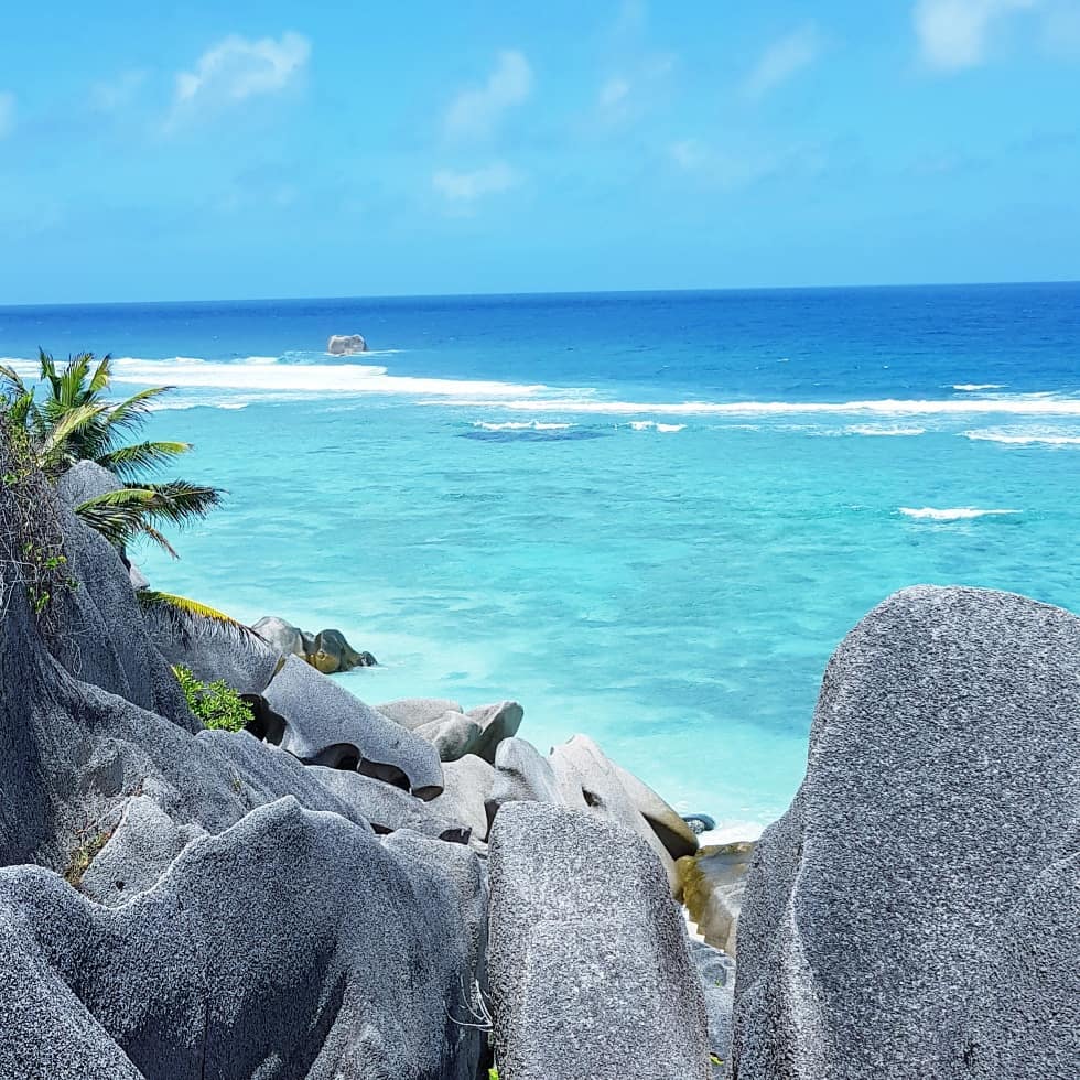 #seychelles #felsen #coconut #hiking #view #august2018 #travelphotography #world #afrika #bnesimppl