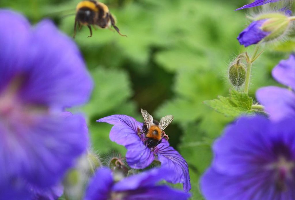 I’m still travelling in Belgium with my friend, with no new photos on my&hellip;