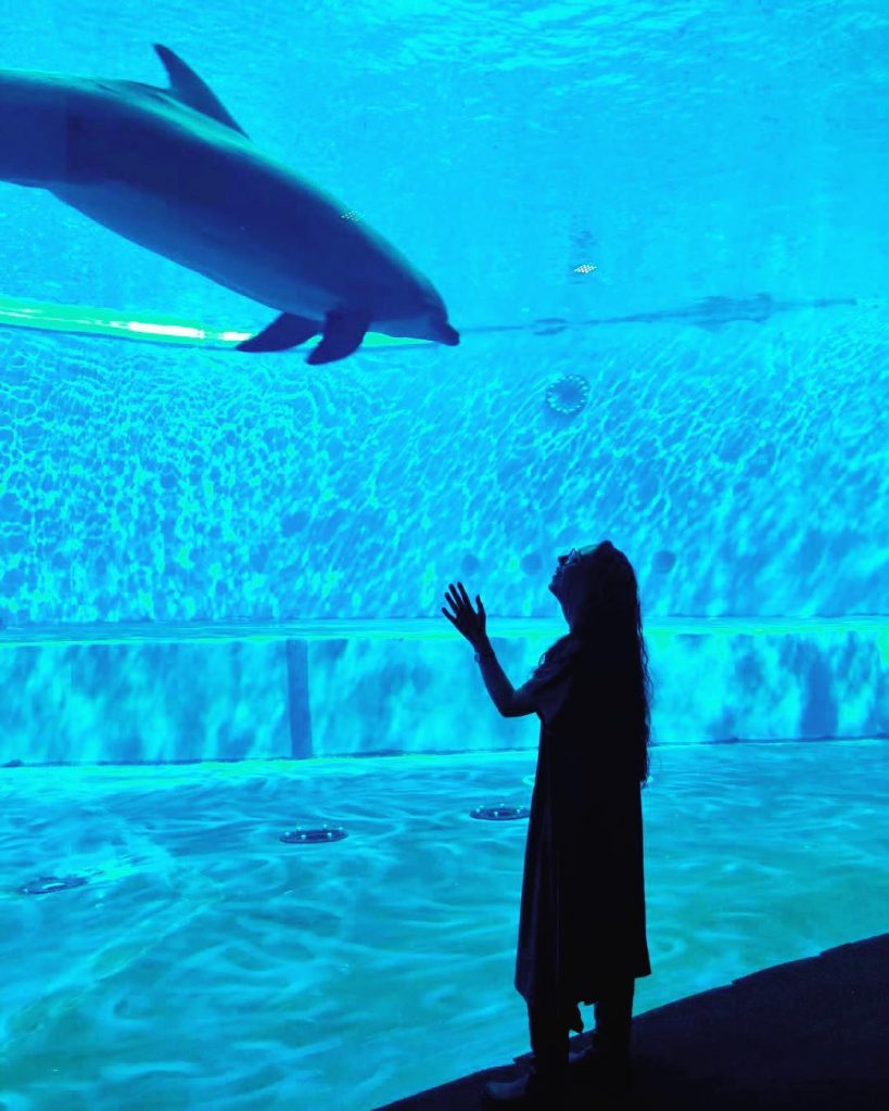 Era mesi che avevamo il biglietto dell’acquario di Genova a casa, aspettando una domenica&hellip;