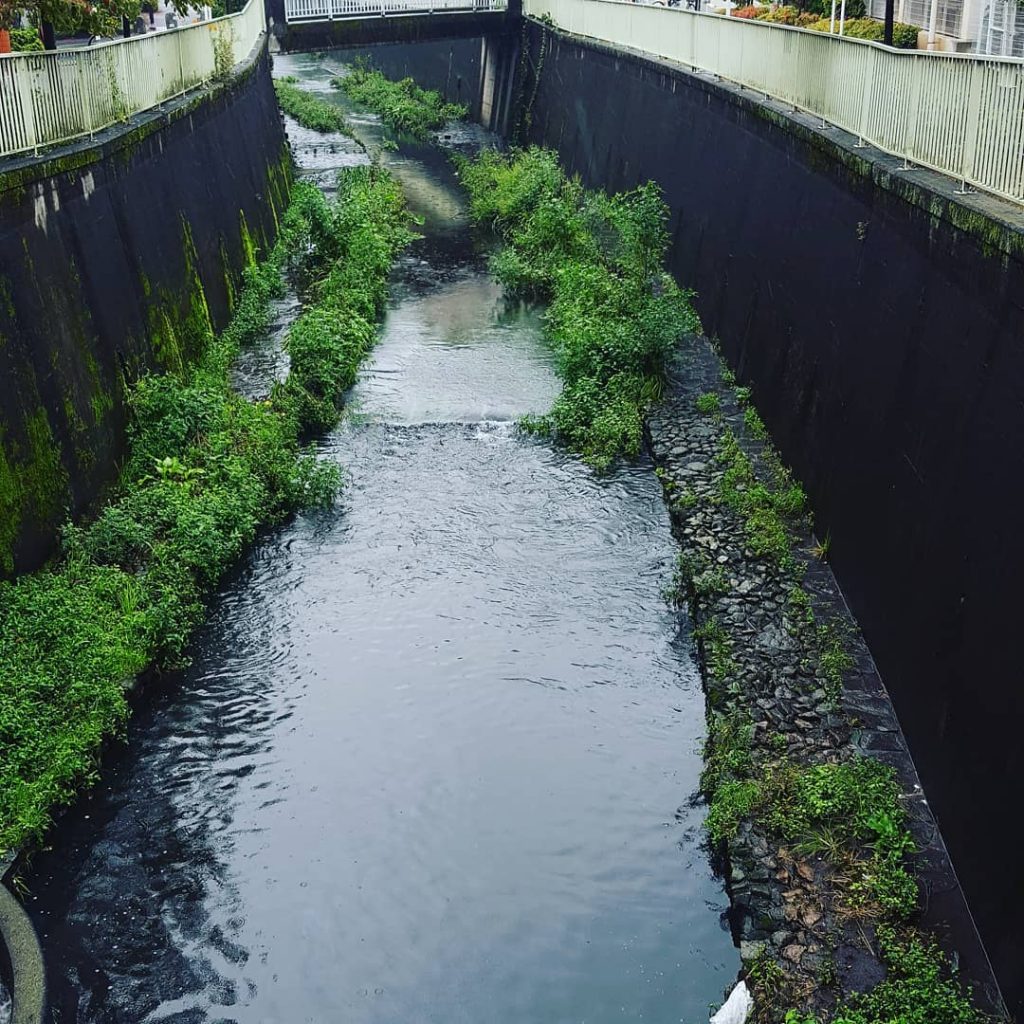 #californian #rain #travelblogger #travelphotographer #travelphotography #travelblogger #travelblog #japan #tokyo  #insta #instapic #instagood #instalike #instagram&hellip;