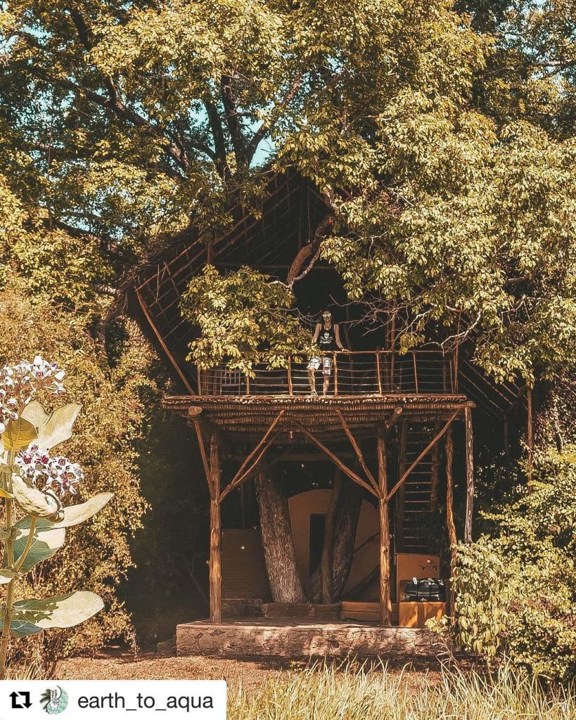 We love this capture of our Damba tree house! . #Repost @earth_to_aqua with @get_repost&hellip;