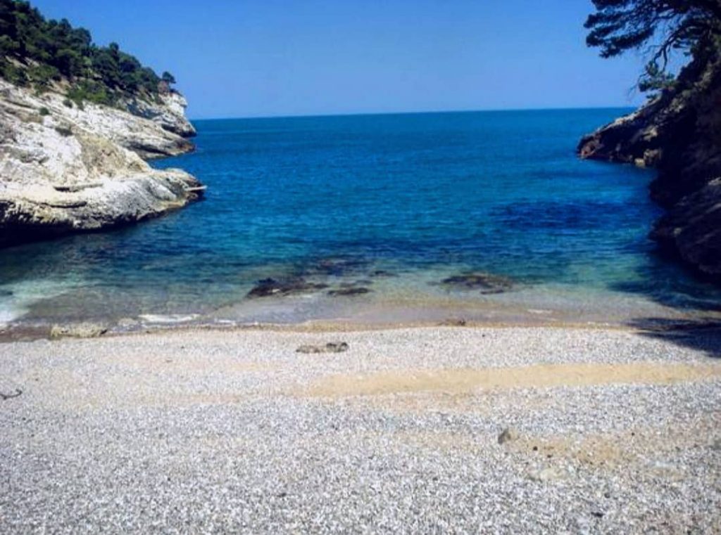 Traveling opens up your Heart & Mind