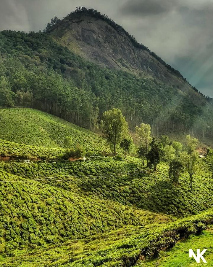Munnar #nature_seekers #travelgram #naturelovers #natureshooters #nature_up_close #nature_hub #naturephotography #naturein_focus #natgeotravel #natgeoyourshot #thephotosociety #reimaginednature #clickstogallery&hellip;