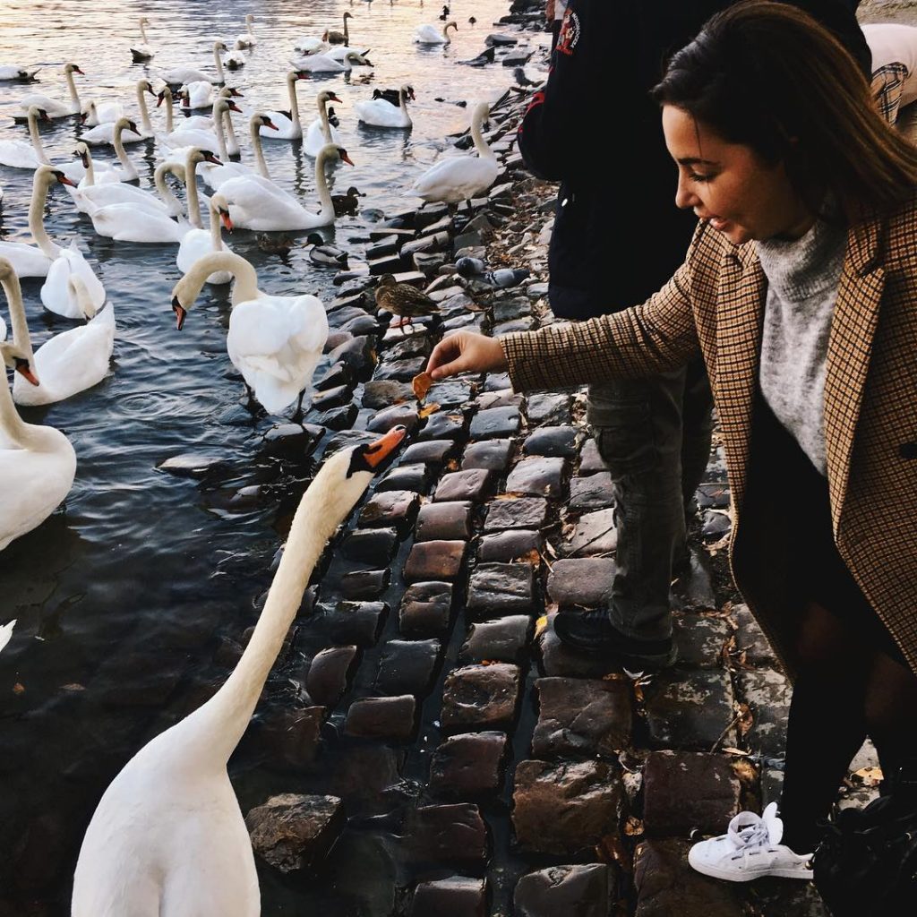 Meet my new friends ???? #prague #travel #travelling #travelling_europe #travelblog #traveblogger #travelphotography #travelgram #instatraveling&hellip;