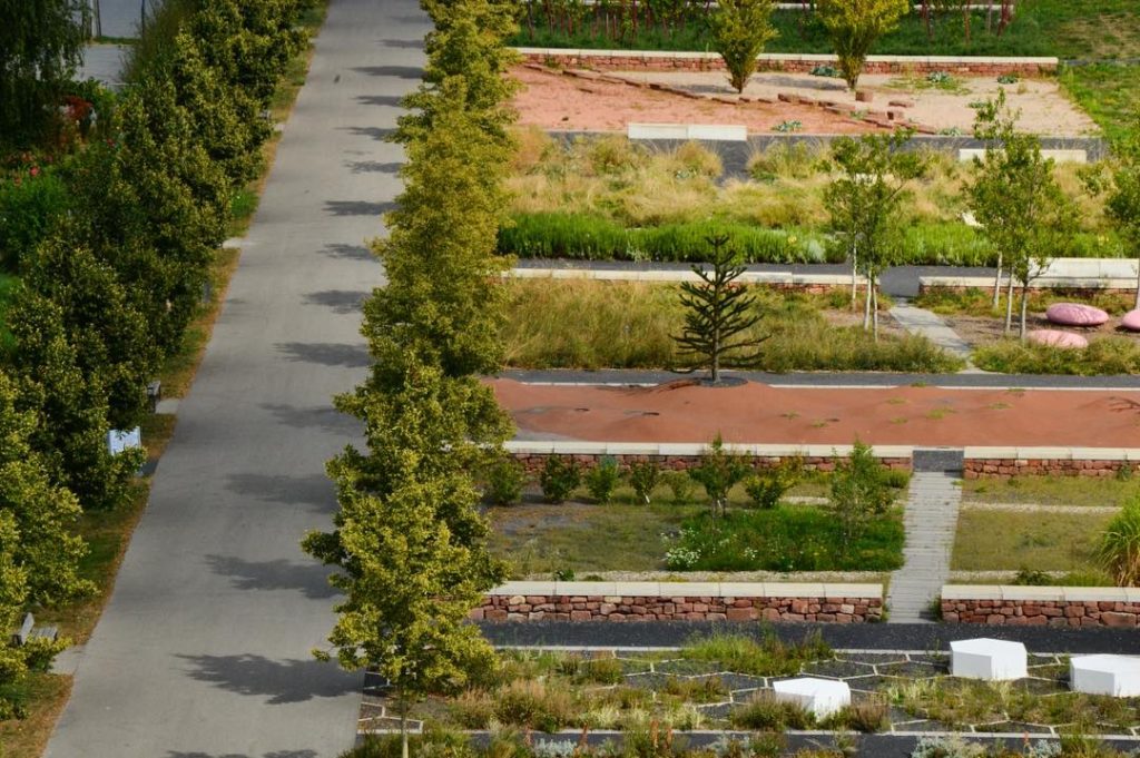 Checking out the lovely Freundeskreis Landesgartenschau gardens in Landau in der Pfalz, the view&hellip;