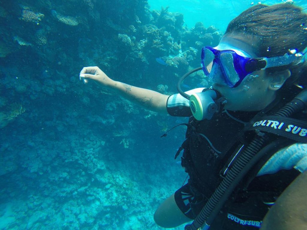 Sobre mergulhar no mar ????‍️