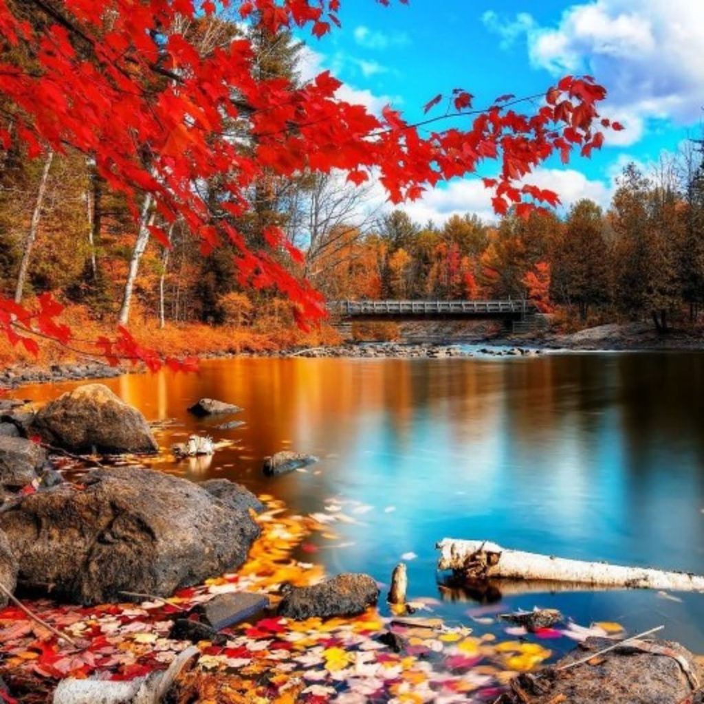Feel awesome – a colorful evening & a cup of tea #landscapstyles #exklusiveshot #visualsofearth&hellip;