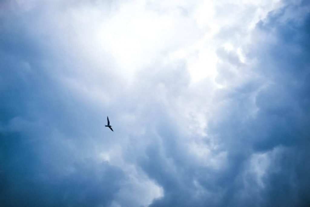 Le comme il est #trip #travelling #photography #france #kaw #photo #picoftheday #southamerica #2018 #forest&hellip;