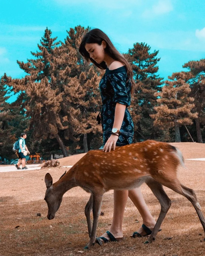 ???? . . . . . . . . . . . . .&hellip;