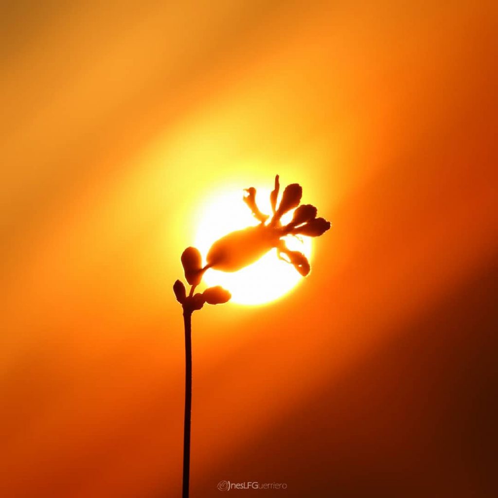 Red sky . . #volgoitalia #vivoitalia #vivocalabria #loves_italia #italia365 #visititalia #visititaly #landscapenature #travelphotography #travelingram&hellip;