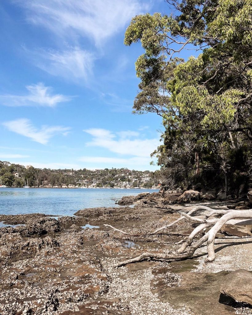 Sidney’e gelirseniz eğer insanlara nerede yaşıyorsun diye sorduğunuz da size “North’da” diyebilirler. Tam olarak&hellip;