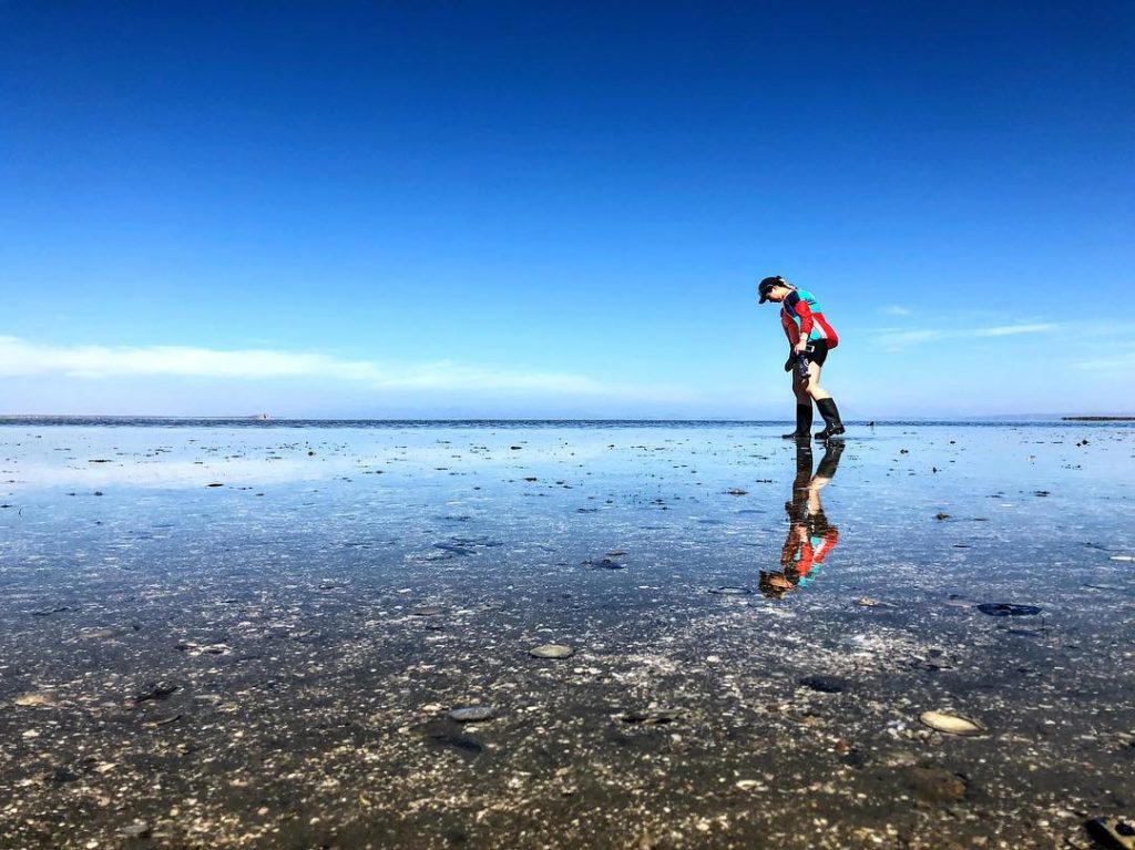 Chrystal clear High tide on the shores of our whale watching lagoon. Baja, Mexico&hellip;