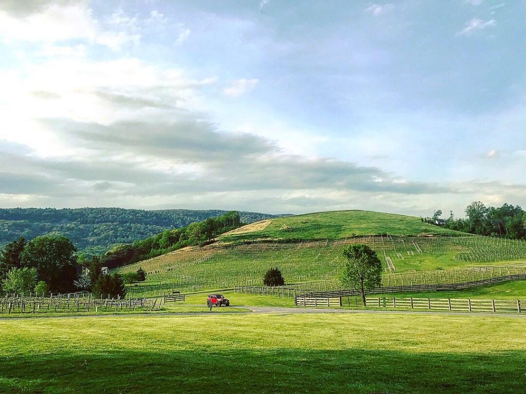 Virginia Wine Country! Pretty and quaint! Read about our hiking and wine tasting travels&hellip;