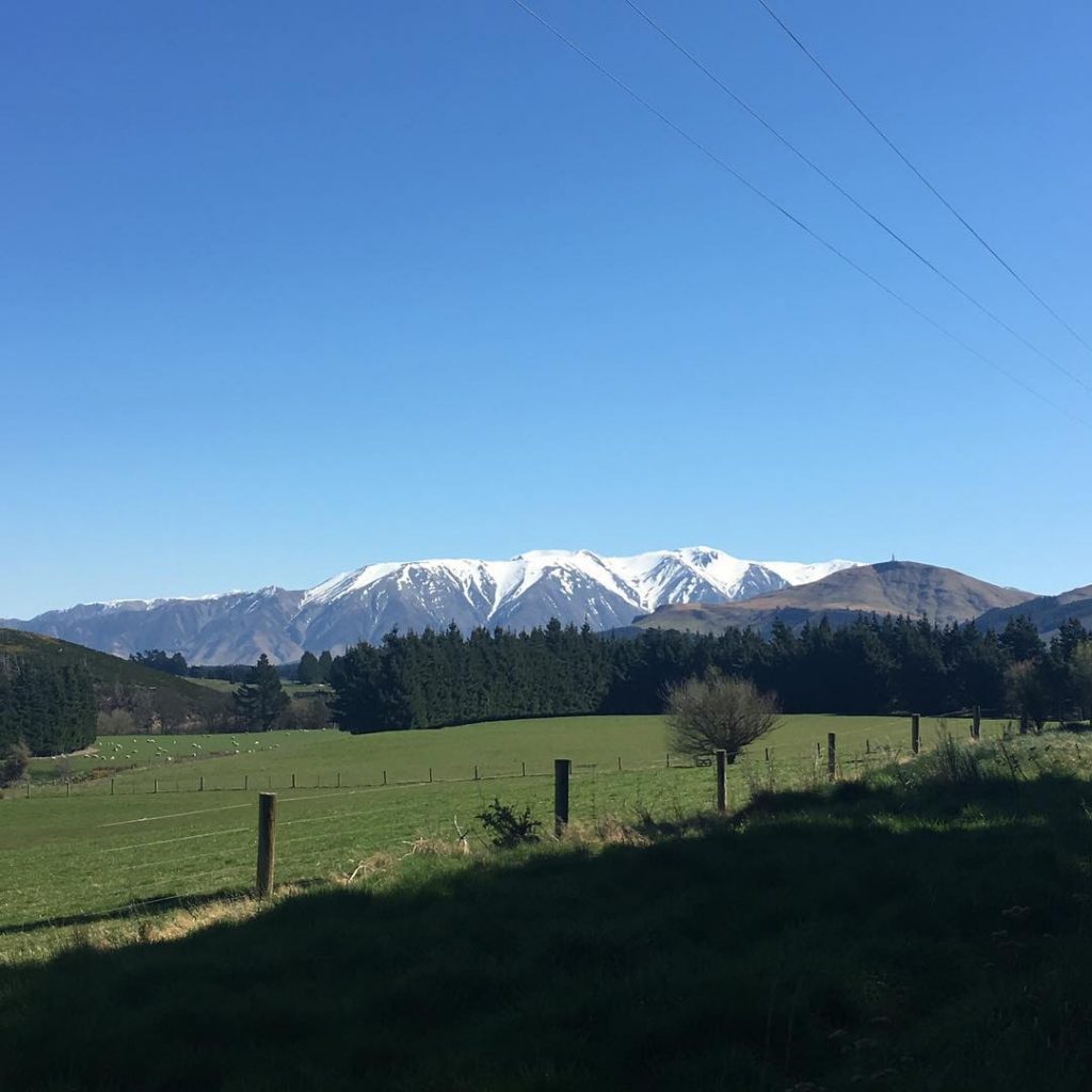 A typical South Island drive