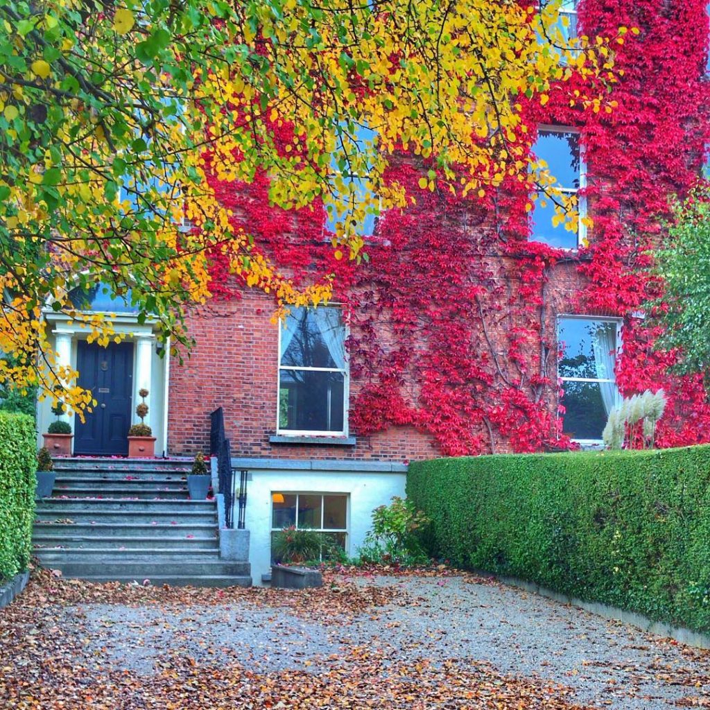 Autumn colors • • • #mytinyatlas #citybestpics #friday #dublin #bnesimppl #openmyworld #iamtb #living_destinations #gottolove_this&hellip;