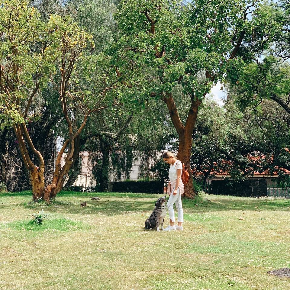 Los domingos se disfrutan más al aire libre y en familia: Mateo, mi perro…