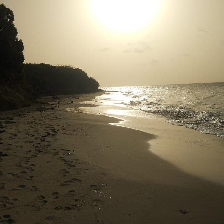 We made it through our first term of the school year! It’s been hectic,&hellip;