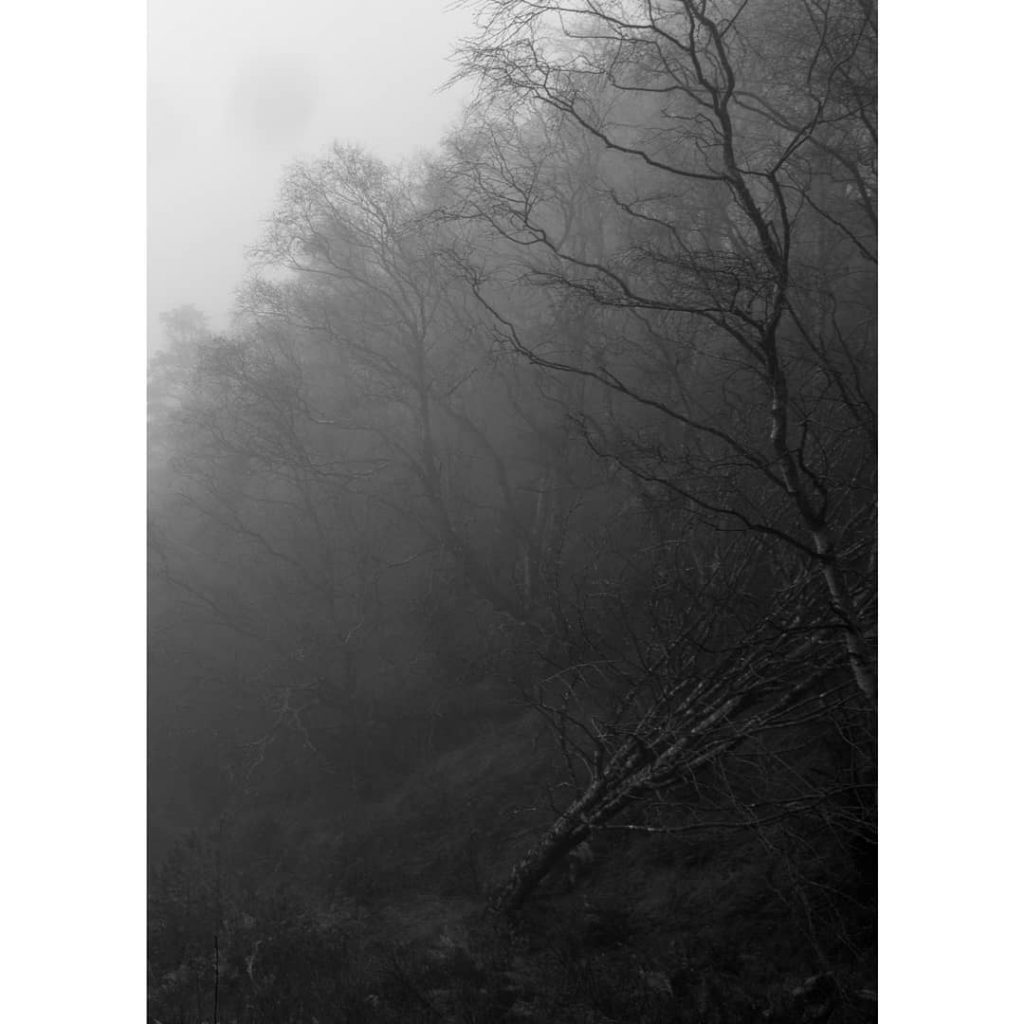 #bnesimppl #travel #travelphotography #travelgram #iamtb #abandonedgallery #stademagazine #insidetheoutside #photoworks #exploreobserveshare #lightzine #thoughtlandscape #ifyouleave #floatmagazine&hellip;