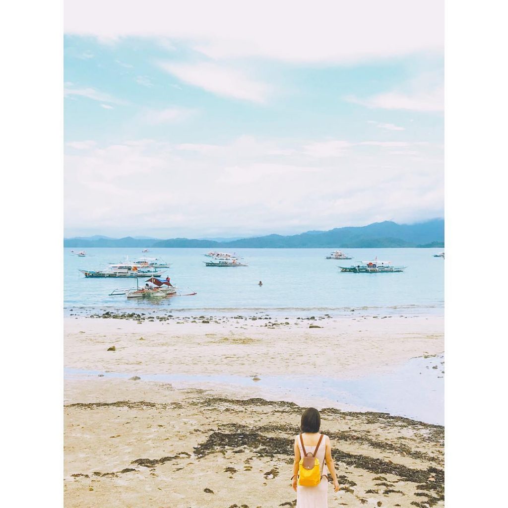 This is a port about 2 hours drive from Puerto PrincessaBanka type boats that&hellip;