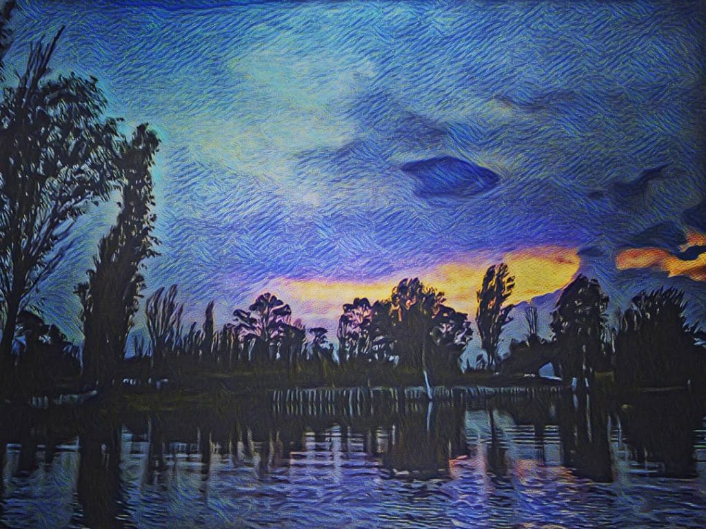 Perspectivas Xochimilcas: Atardeceres . . . . . . #xochimilco_cdmx #cdmx_oficial #mexicocity #landscape #instagram&hellip;