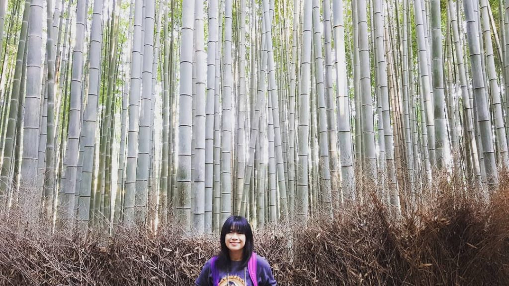 7 am spent wandering inside the bamboo grove. . #ArashiyamaBambooForest #Arashiyama #Kyoto #Kansai #Japan…