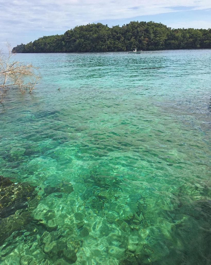 Here for amazing sea life ????Palau Weh, Sumatra, Indonesia. ____________________________________ #palauweh #sabang #bandaaceh #sumatra&hellip;