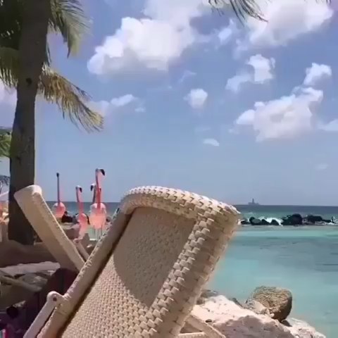 Haha this is amazing! Double tap if you want a flamingo march wherever you&hellip;