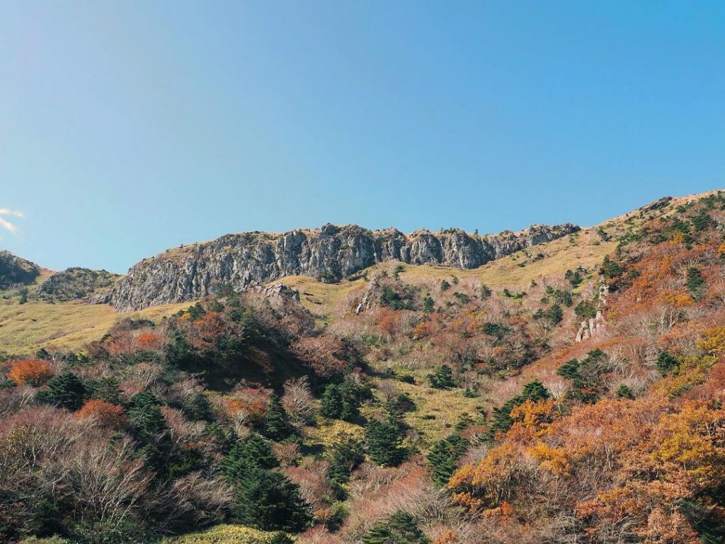 Autumn colors at Hallasan, Jeju. __________________________ #seetheworld #jeju #jejuisland #southkorea #asia #tmplbackpackers #travel #backpacking&hellip;