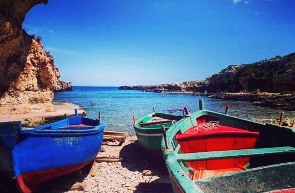 Go where you feel most alive ️