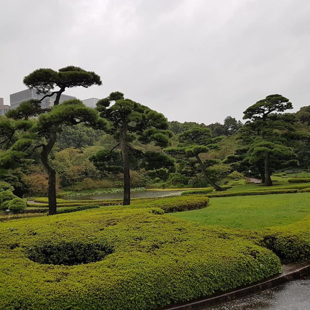Feeling relaxed, beautiful views ️ #life #wonderlust #traveladdict #japan #tokyo #travelstoke #travel #travelblogger #travelphotography&hellip;