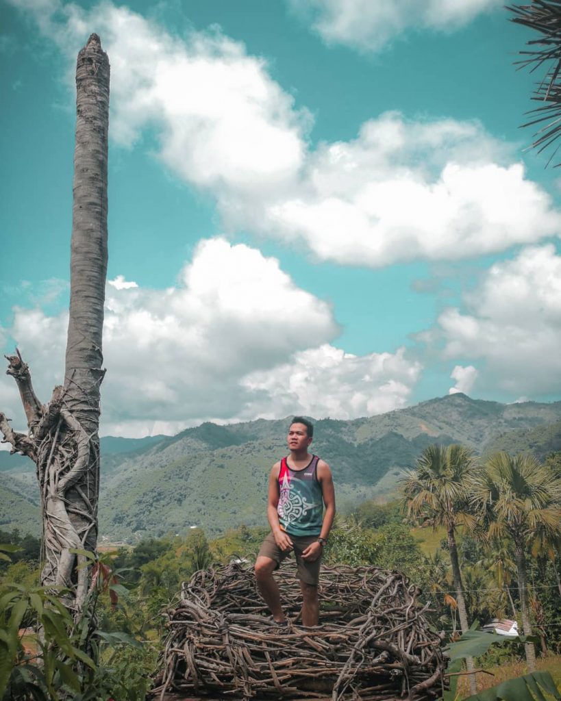 Wakin up in a nest and I’m like, damn! what a beautiful morning! I&hellip;