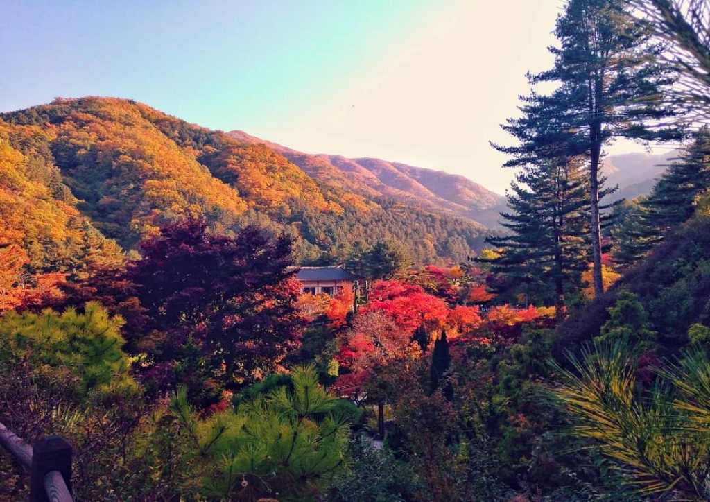 Today, I choose #AllanOutofPost #landofthemorningcalm #bnesimppl