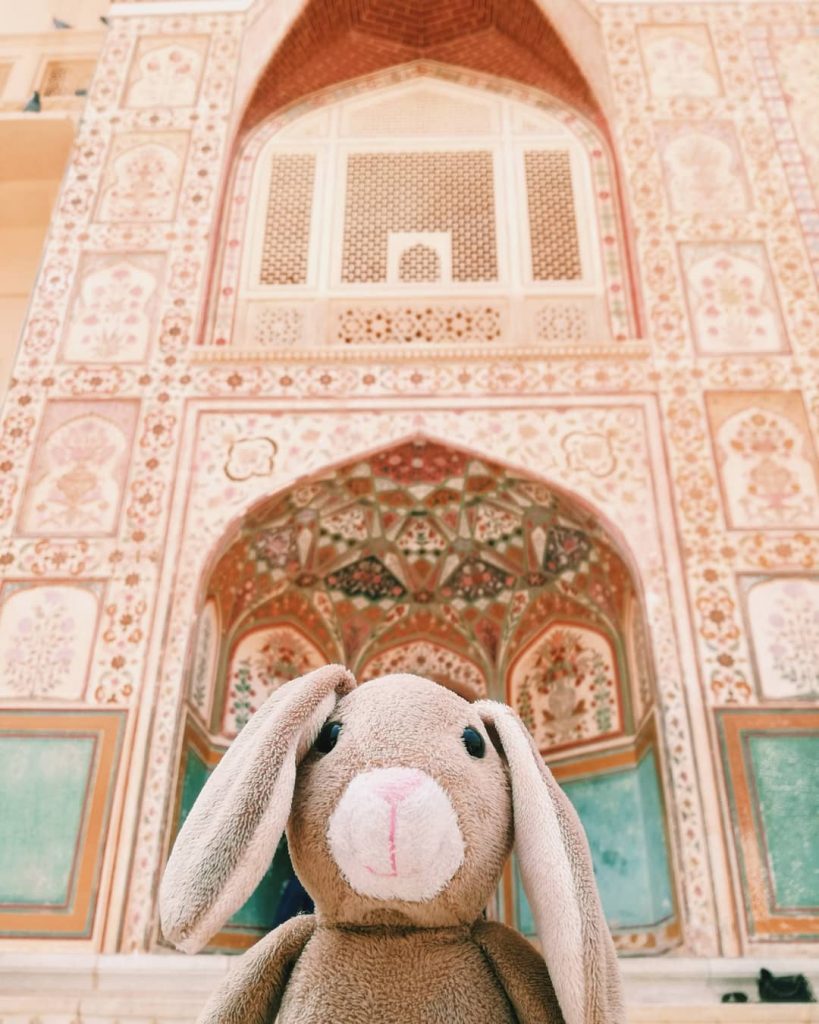 Slide left for changing focus! #rabbitaroundtheworld We’re in Rajasthan in the city of Amer,&hellip;