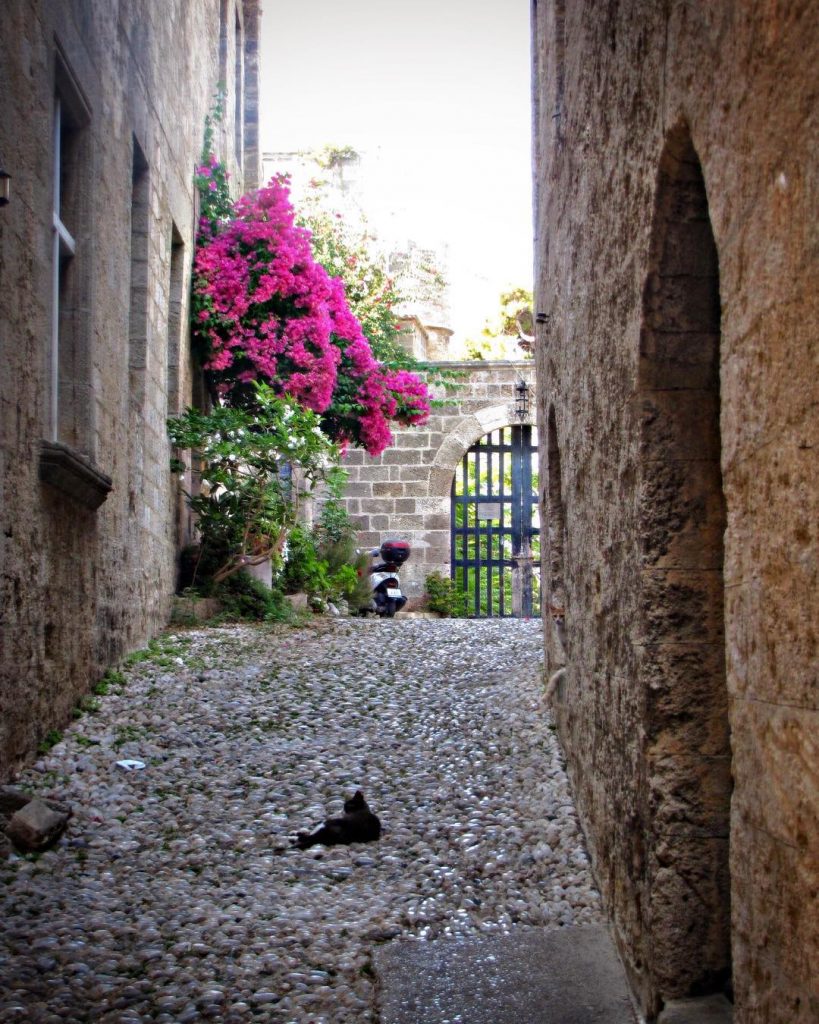 #rhodes #oldcity #travelling #vacation #visiting #traveler #kadrajimizdan #perfectshot #pictureoftheday #trip #holiday #photooftheday #lifeofadventure #doyoutravel&hellip;