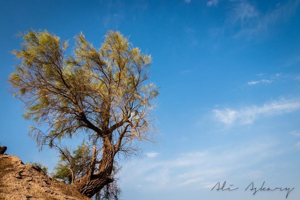 We have many tales to Kerman is the magical land of mountains. #exploring #travel&hellip;