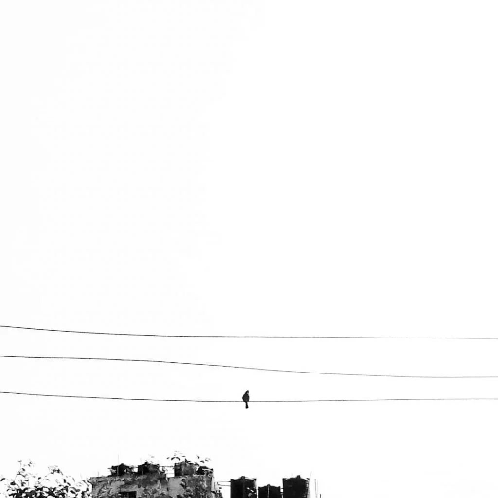 . . . . . . . #bnw #bw #blackandwhite #blacknwhite #blackwhite #monotone&hellip;