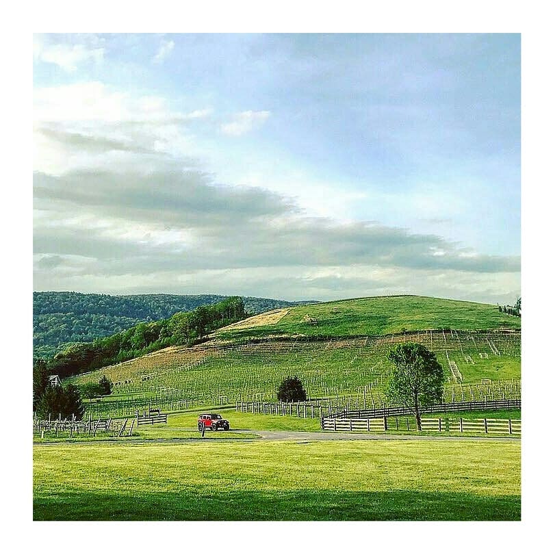 From @worldtravelersunion – Virginia Wine Country! Pretty and quaint! Read about our hiking and&hellip;