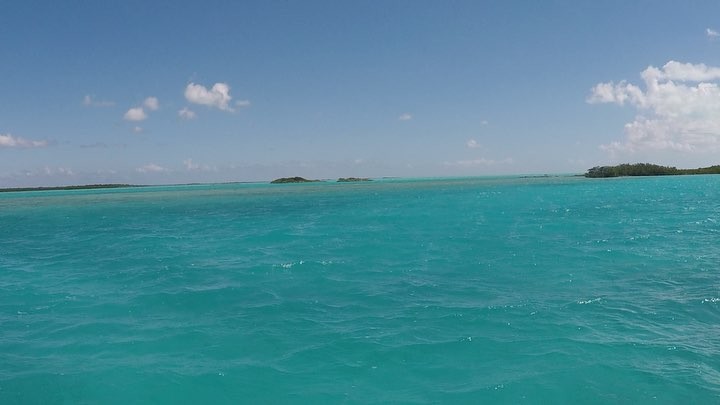 High speed sailing through Turks and Caicos! Read about our travels to this beautiful&hellip;