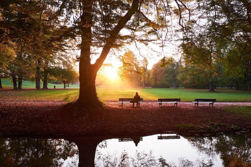 Playing with light and shade in English Garden . . . . . #munich&hellip;
