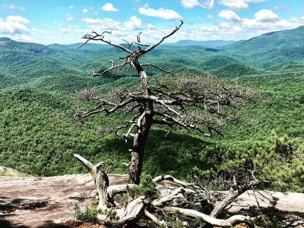 Top of the Looking Glass Trail in the Pisgah Forest, North Carolina. Read our&hellip;