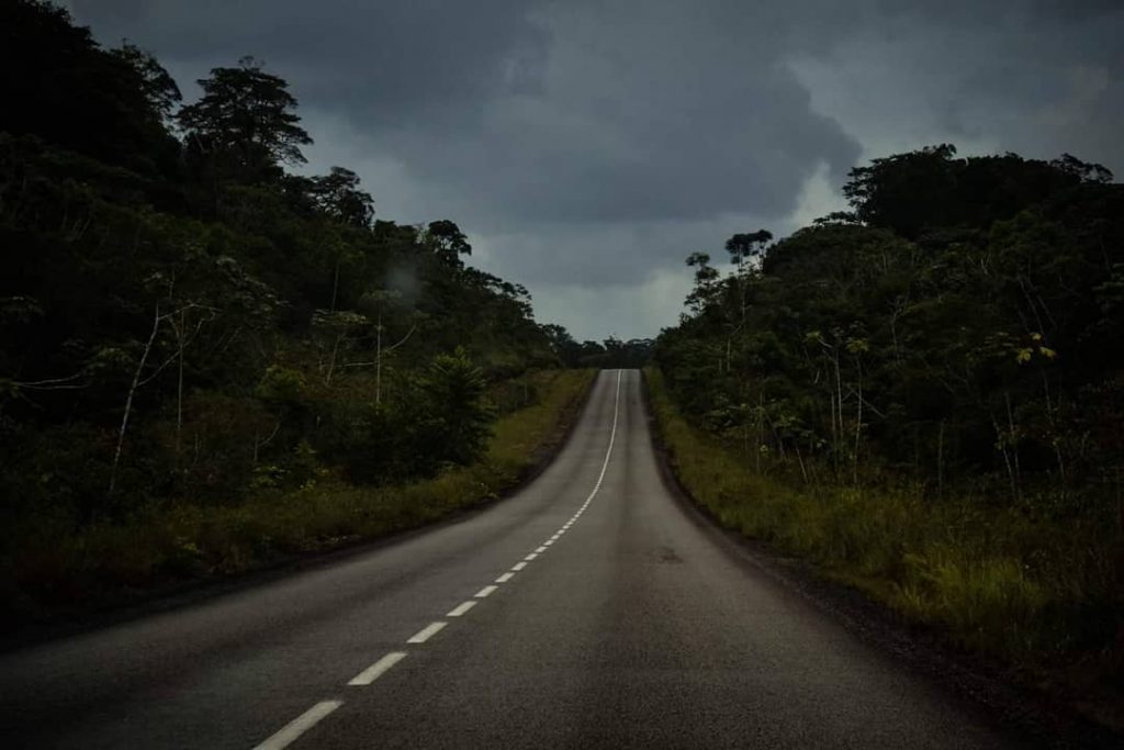 On the #trip #travelling #photography #france #road #photo #picoftheday #southamerica #2018 #forest #tree #naturephotography&hellip;
