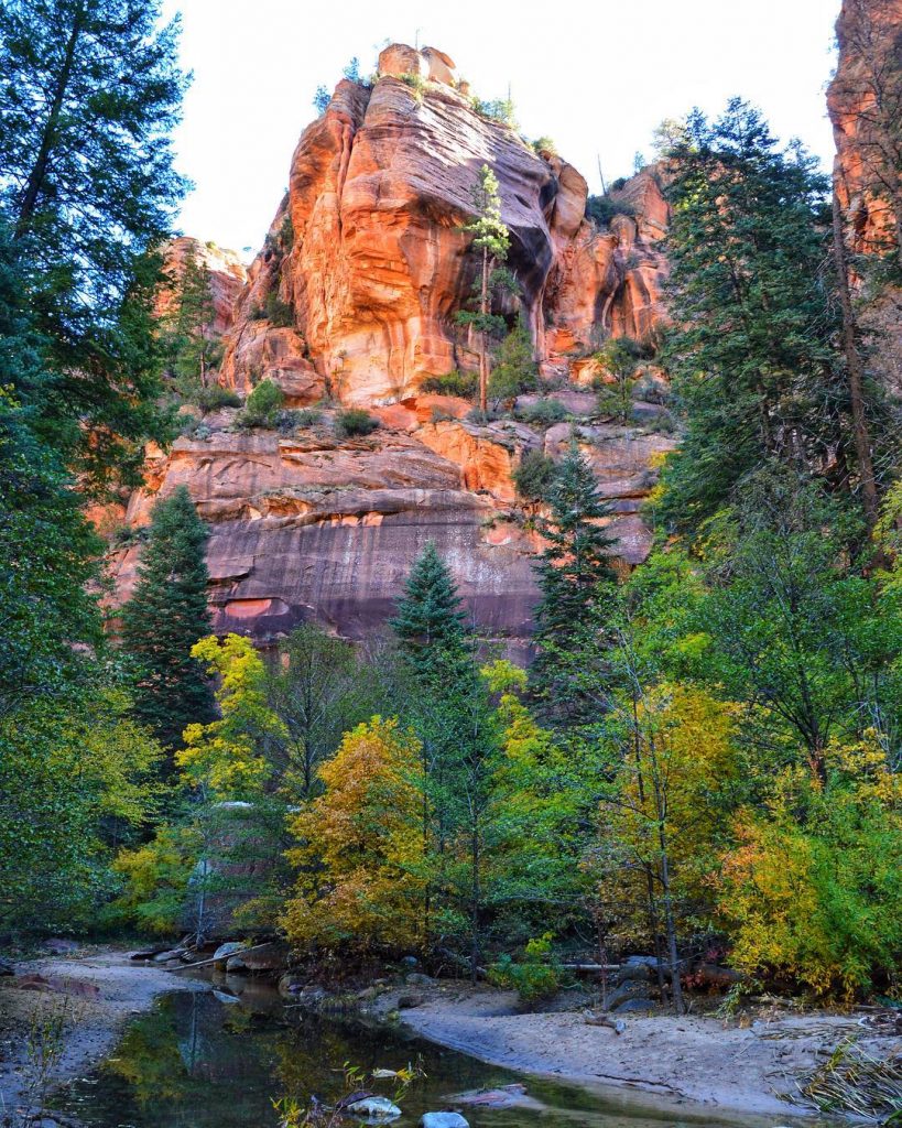 They don’t call this #redrock country for nothing. These (3 of 6) #arizona #westforktrail&hellip;