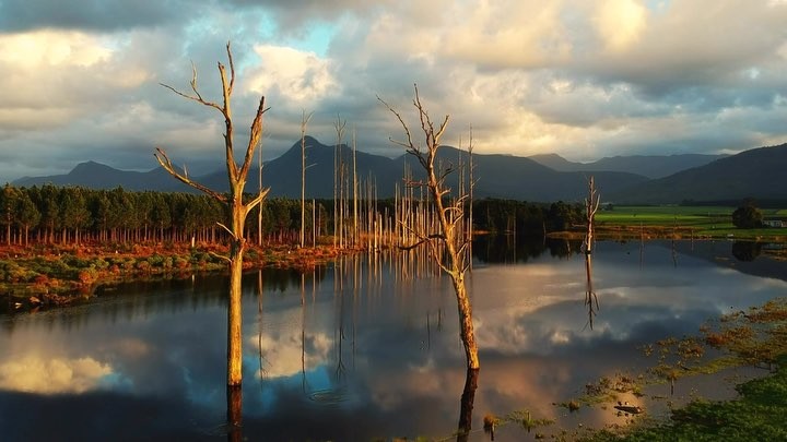 Early mornings in the Tsitsikamma. Nostalgic moments of our road trip through the land&hellip;