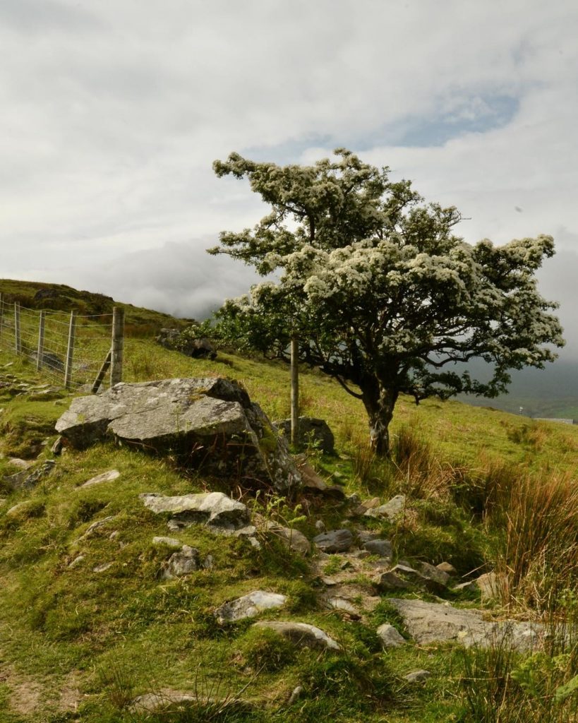 Lusting after some wild, wide open spaces at the moment. So here’s a trip…